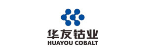 Huayou Cobalt Co., Ltd. Huayou Cobalt Co., Ltd.