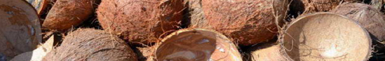 Coconut Shell Activated Carbon